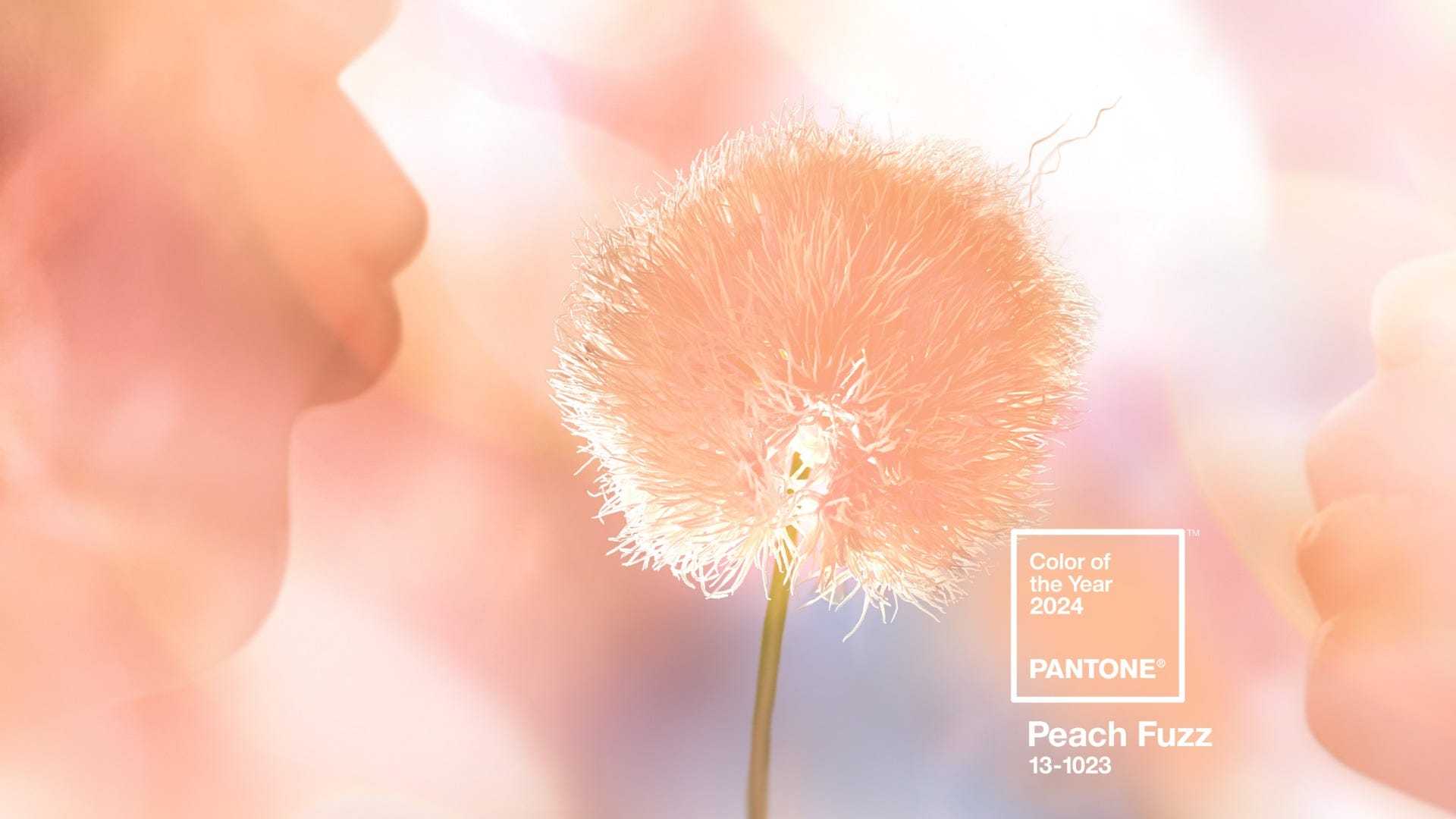 1703124248796864.jpg